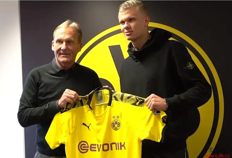 宁波第16次获评最具幸福感城市，鄞州余姚慈溪宁海同登榜